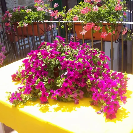 La Terrazza Fio...rita 3*