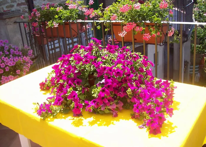 La Terrazza Fio...rita 3*